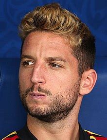 dries mertens wikipedia english